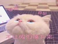 浙江港运石化有限公司