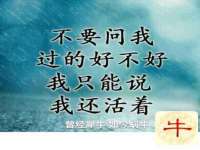 浙江港运石化有限公司