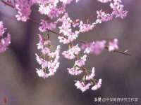 浙江港运石化有限公司