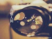 浙江港运石化有限公司