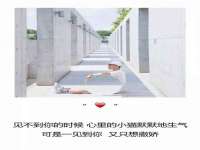 浙江港运石化有限公司