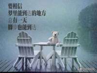 浙江港运石化有限公司