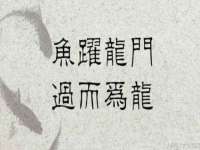 浙江港运石化有限公司