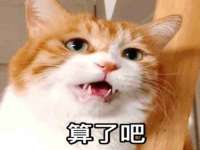 浙江港运石化有限公司