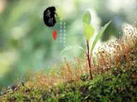 浙江港运石化有限公司