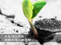 浙江港运石化有限公司