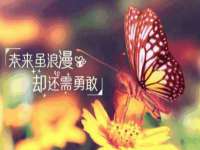 浙江港运石化有限公司