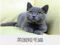 浙江港运石化有限公司