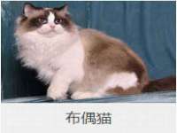 浙江港运石化有限公司