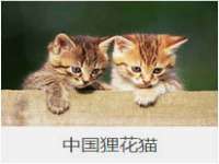浙江港运石化有限公司