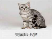 浙江港运石化有限公司