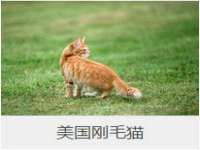 浙江港运石化有限公司