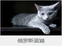 浙江港运石化有限公司