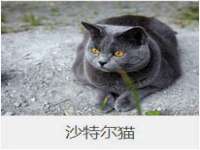 浙江港运石化有限公司