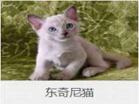 浙江港运石化有限公司