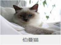 浙江港运石化有限公司