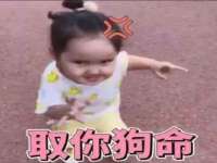 浙江港运石化有限公司