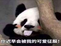 浙江港运石化有限公司