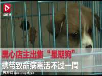 浙江港运石化有限公司