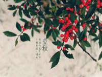 浙江港运石化有限公司