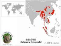 浙江港运石化有限公司
