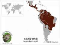 浙江港运石化有限公司