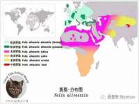 浙江港运石化有限公司