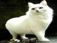 浙江港运石化有限公司
