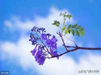 浙江港运石化有限公司