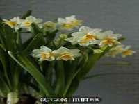 浙江港运石化有限公司