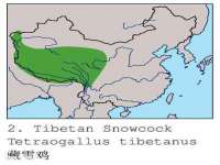 浙江港运石化有限公司