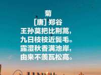 浙江港运石化有限公司