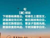 浙江港运石化有限公司