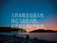 浙江港运石化有限公司