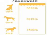 浙江港运石化有限公司