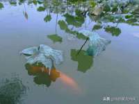 浙江港运石化有限公司
