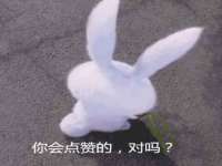 浙江港运石化有限公司