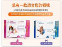 浙江港运石化有限公司