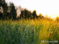 浙江港运石化有限公司