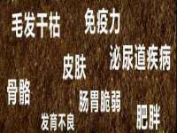 浙江港运石化有限公司