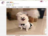 浙江港运石化有限公司