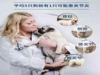 浙江港运石化有限公司