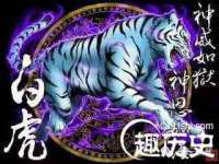 浙江港运石化有限公司