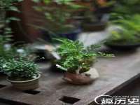 浙江港运石化有限公司