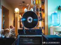 浙江港运石化有限公司