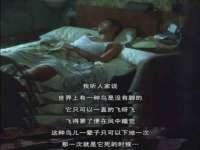 浙江港运石化有限公司