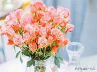 浙江港运石化有限公司
