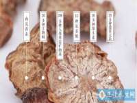 浙江港运石化有限公司