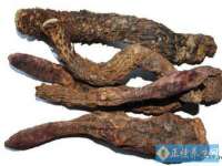 浙江港运石化有限公司