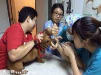 浙江港运石化有限公司